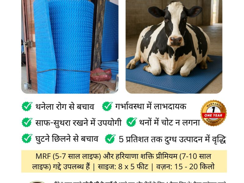 Joshi Cattle Mat Store