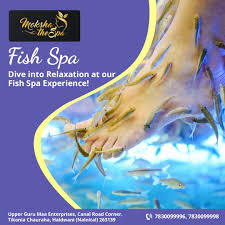 Moksha The Spa Haldwani